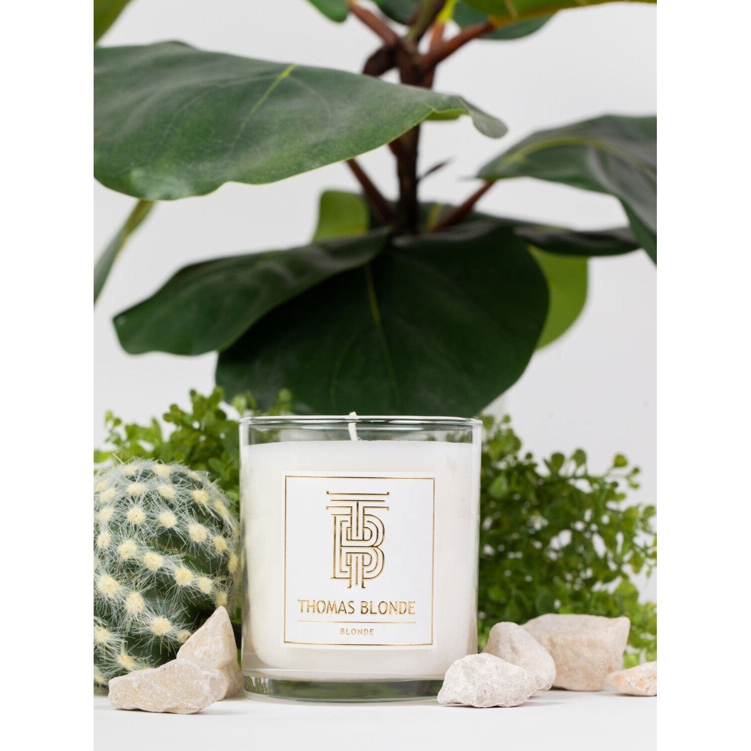 Thomas Blonde Candle - 12oz