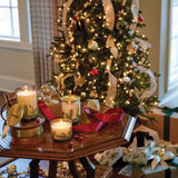 Thymes Frasier Fir Heritage Medium Pine Needle Luminary