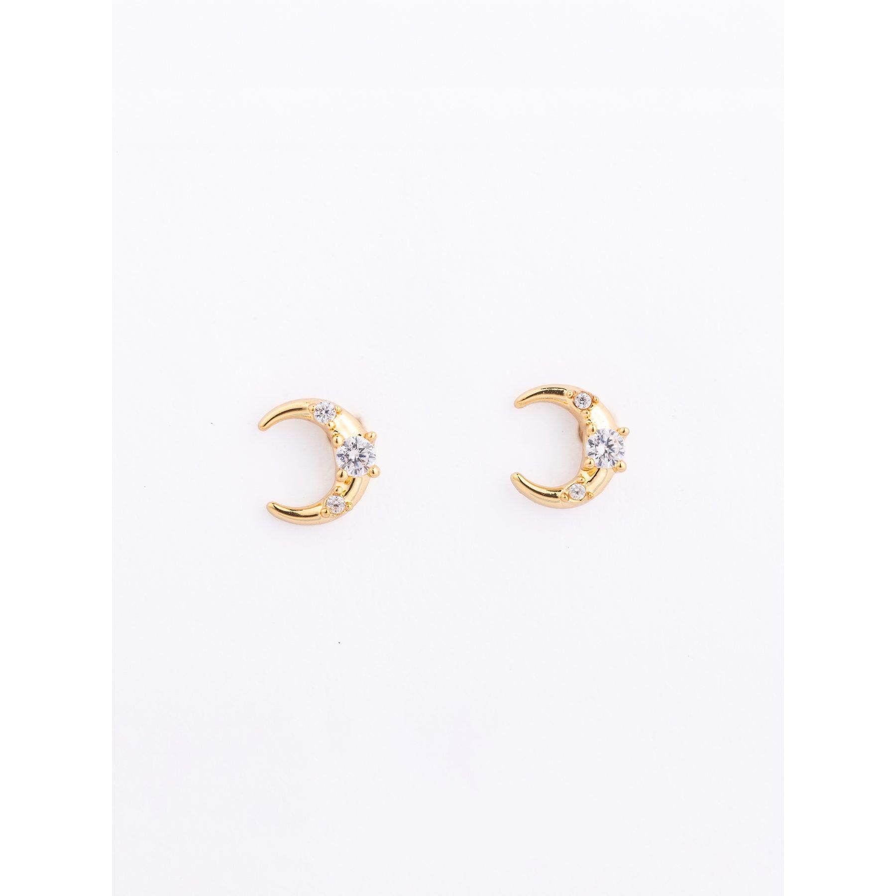 Tiny Treasure Earrings