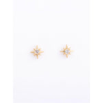 Tiny Treasure Earrings