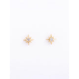 Tiny Treasure Earrings