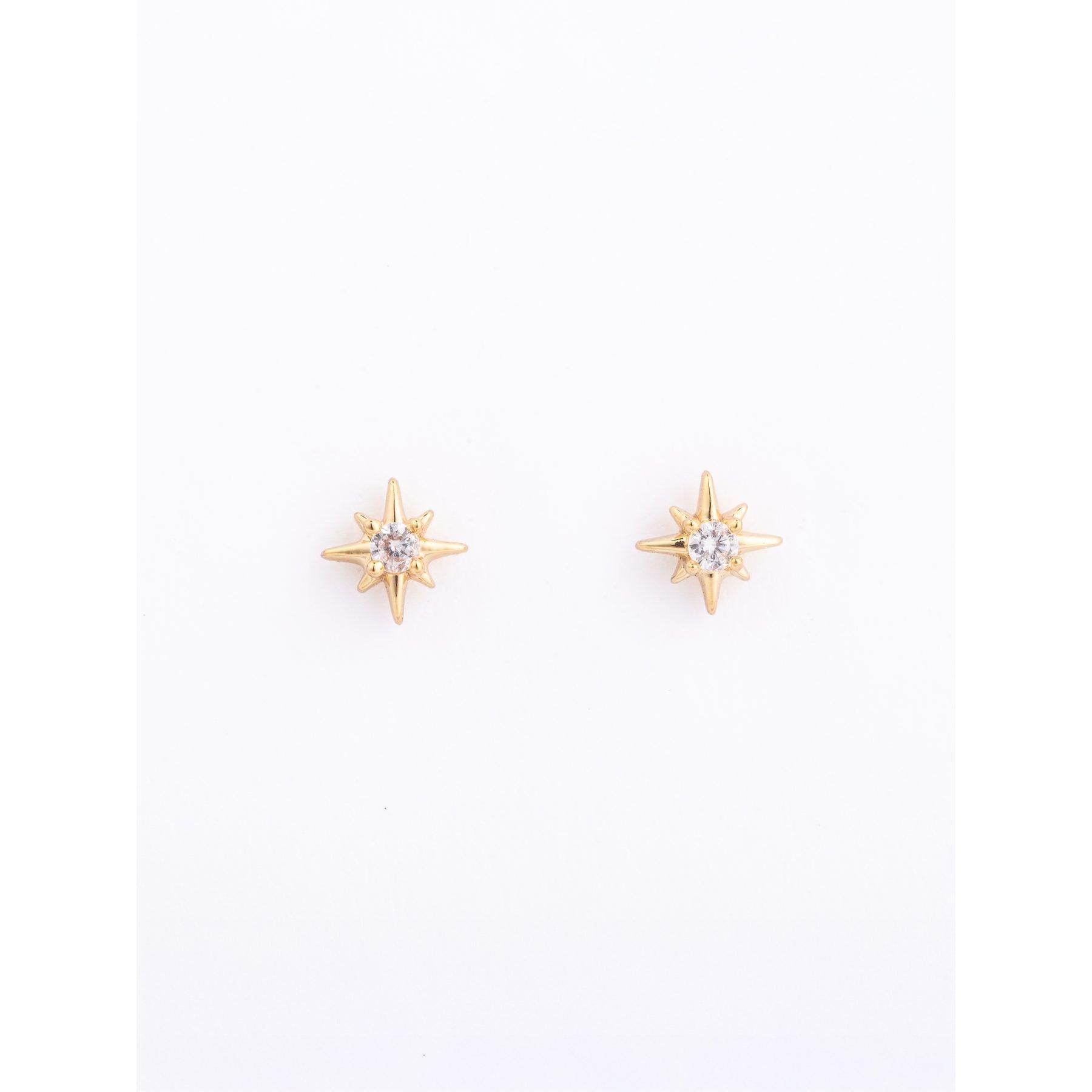 Tiny Treasure Earrings