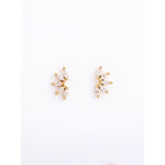 Twinkle Glam Earrings