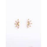 Twinkle Glam Earrings