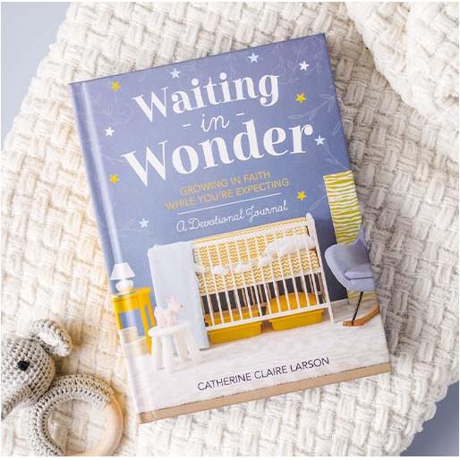 Waiting In Wonder Book