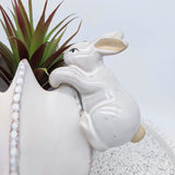 Inner White Bunny Pot Sitter