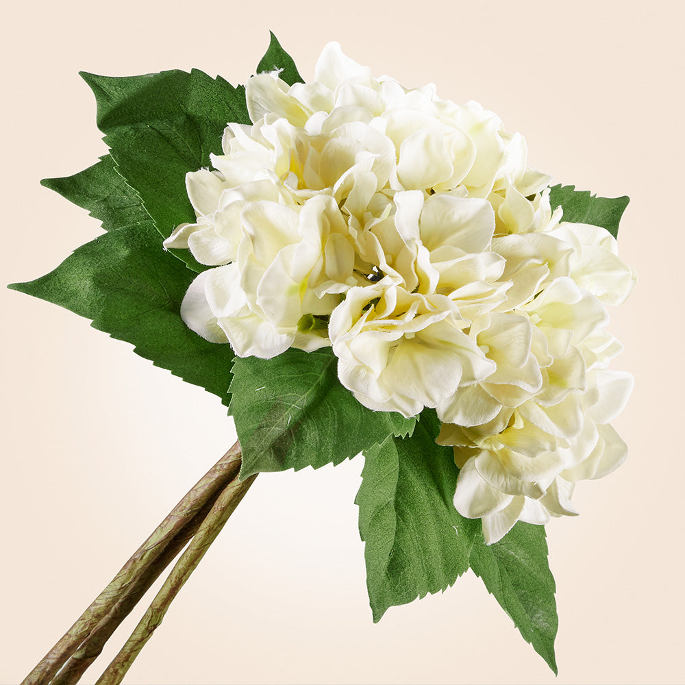 White Hydrangea Bundle