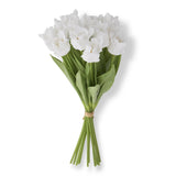 White Real Touch Parrot Tulip Bundle 13"